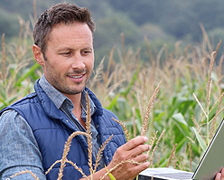 Agricultural_Processing_02